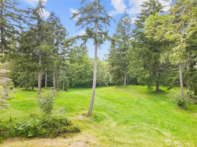 LOT 3 - Great flat grassy cleared area!