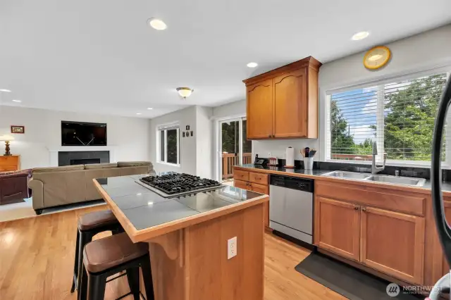 Island cooktop with gas range, and breakfast bar. This great room concept is where you'll spend most of your time. The family room adjacent to the kitchen is a great hang out space. The attached deck is to the right and has tons of space to bring the outdoors in.