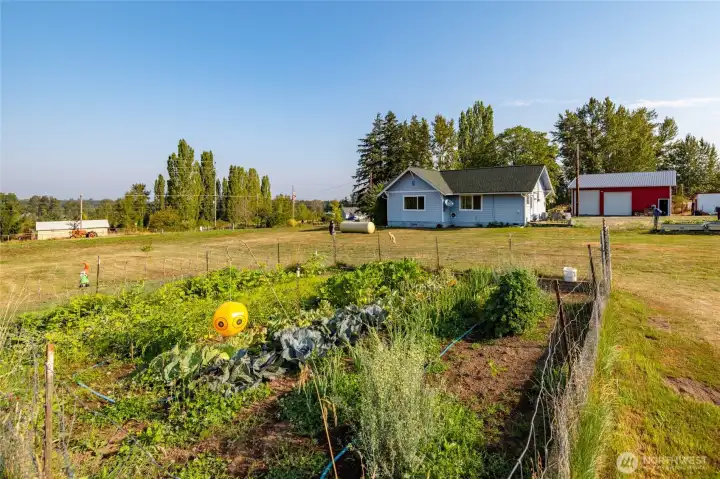 Fenced garden area (helps keep the deer and bunnies away from the veggies).