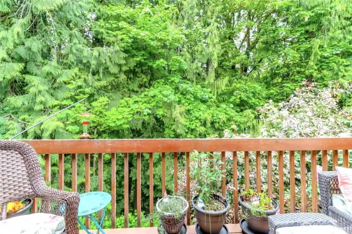 View from balcony