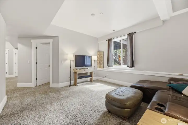 Downstairs Living Room