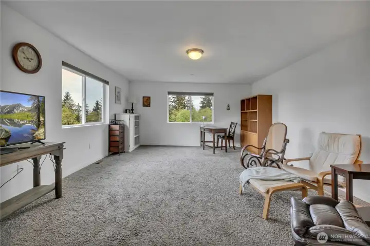 Bonus room for entertainment!