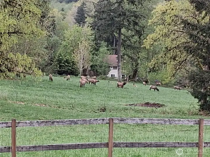 Frequent Guests