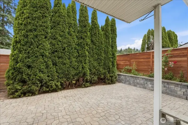 Another view of the back yard from the door.