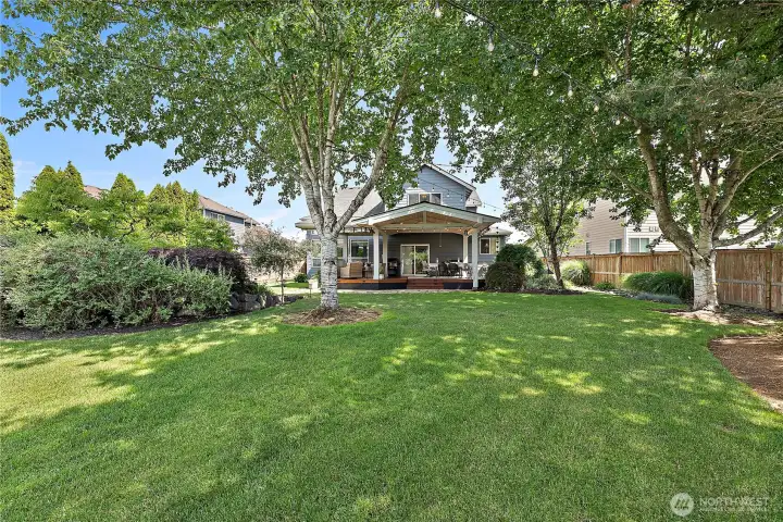 The mature landscaping has grown into something so beautiful, it's hard to describe