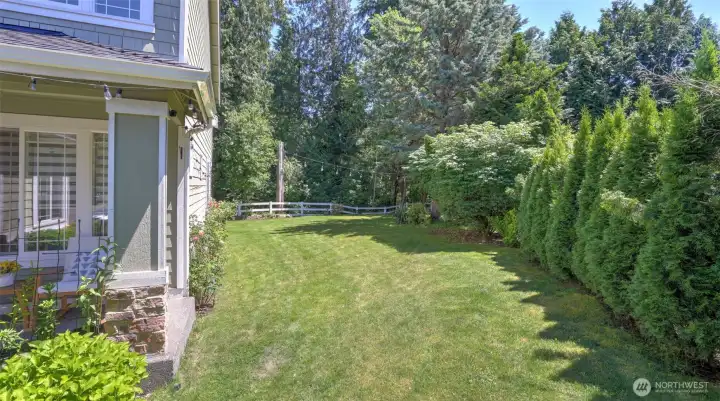 Side yard with mature privacy trees.