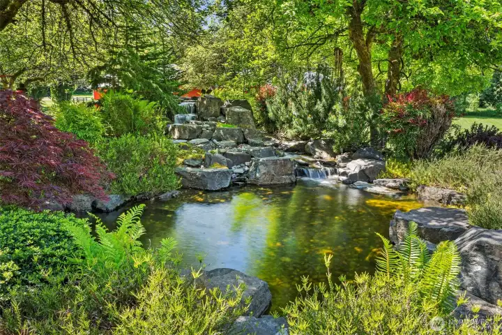 Custom Pond and water feature provides tranquil moments