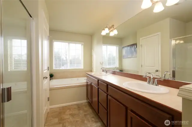 Ensuite primary bath
