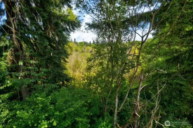 View from the deck of Unit 4. Lots a privacy and a great view of nature while being right in town.