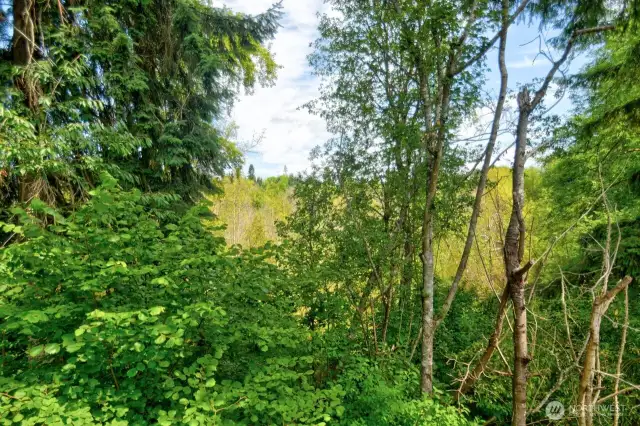 View from deck off Unit B.
