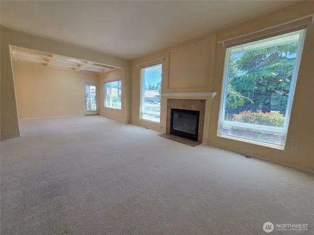Propane Fireplace