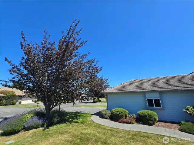 Beautifully Landscaped- part of your HOA dues