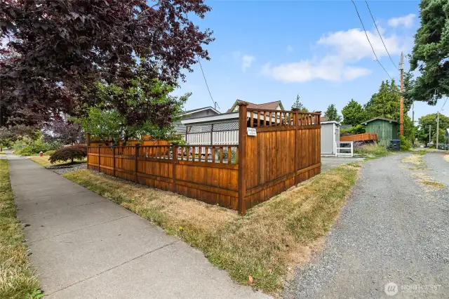 3-year-old cedar fence that encloses the cherry tree and rock garden.