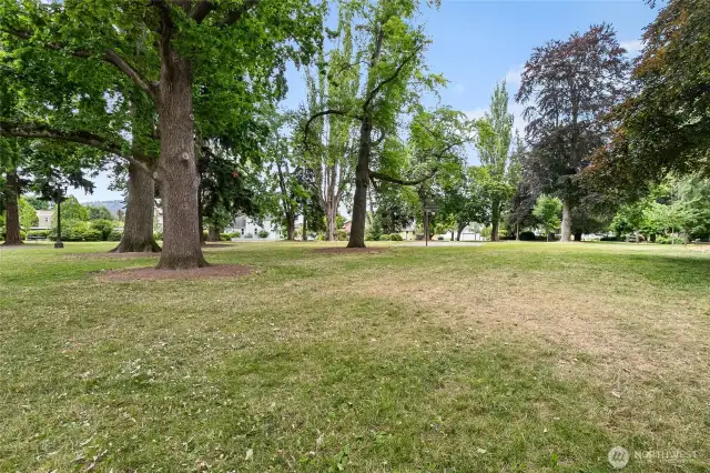 Enjoy summer concerts at Elizabeth Park.