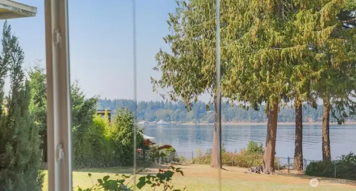 View from Kitchen.