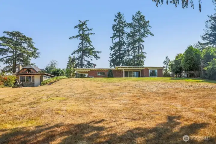 Massive backyard.