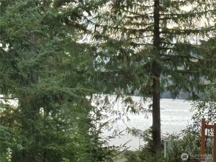 View out Back of Home