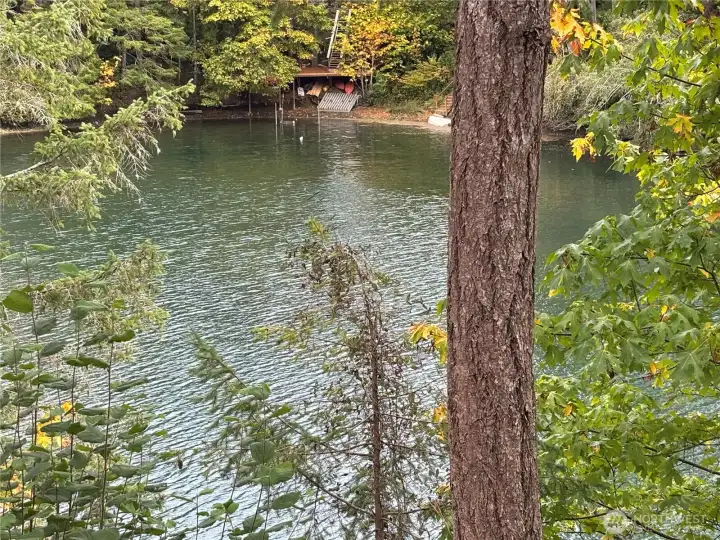 View out Back of Home 2