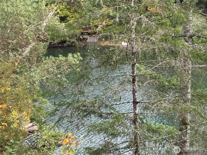 View out Back of Home 3