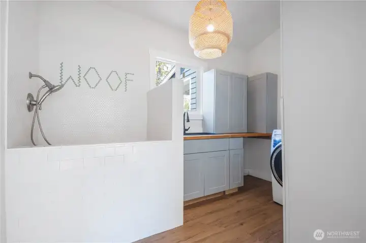 New Dog Wash Station