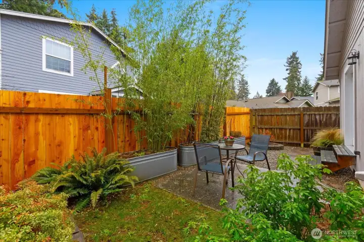 Container plantings provide an effective privacy screen.