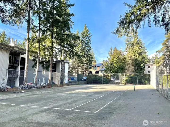 Community sports court