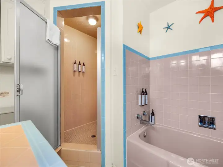 Primary bath (bathroom #1 upstairs)