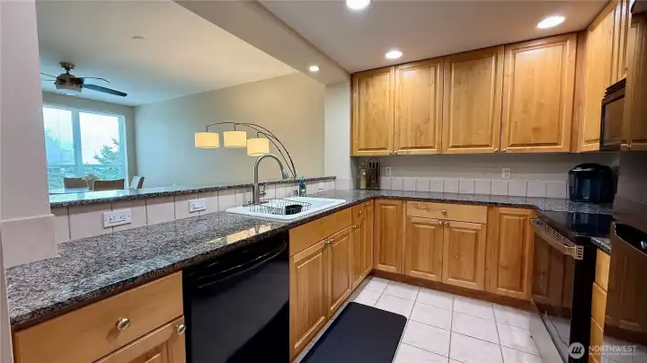 Granite Countertops and LED Lighting