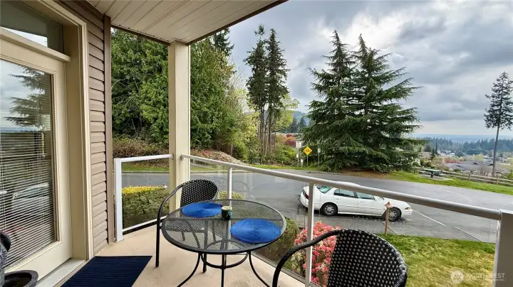 Expansive Views From Balcony