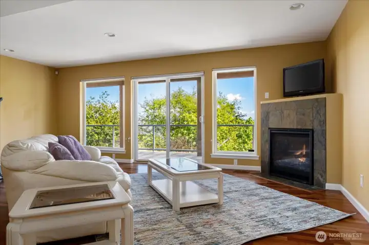 The daylight basement presents a large family room with access to the gardens and sports court.