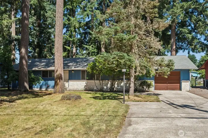Some homes have personality before you ever step inside, and this 1966 rambler is one of them. The classic horizontal lines, board-and-batten exterior, mature evergreens, and long level driveway create that unmistakable mid-century vibe that's becoming harder to find every year. The front yard feels open and inviting thanks to the thoughtfully limbed trees that allow plenty of natural light to reach the property. A long driveway leads to the attached garage, with additional parking space alongside for your RV, boat, project vehicle, or weekend toys. Some homes have personality before you ever step inside, and this 1966 rambler is one of them. The classic horizontal lines, board-and-batten exterior, mature evergreens, and long level driveway create that unmistakable mid-century vibe that's becoming harder to find every year. The front yard feels open and inviting thanks to the thoughtfully limbed trees that allow plenty of natural light to reach the property. A long driveway leads to the attached garage, with additional parking space alongside for your RV, boat, project vehicle, or weekend toys.