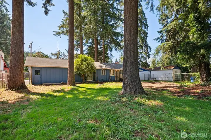 This perspective really showcases the size and flexibility of the backyard. The mature evergreen trees have been limbed up over the years, creating a beautiful canopy effect overhead while allowing valuable sunlight to reach the ground below. That means you get the privacy and character of established trees without sacrificing every inch of usable yard space. With approximately 0.27 acres to work with, there is room here for far more than just a lawn. Imagine garden beds, play spaces, an outdoor kitchen, a firepit gathering area, water features or multiple outdoor "rooms" designed for different activities and seasons. It's the kind of backyard that lets your imagination run a little wild. This perspective really showcases the size and flexibility of the backyard. The mature evergreen trees have been limbed up over the years, creating a beautiful canopy effect overhead while allowing valuable sunlight to reach the ground below. That means you get the privacy and character of established trees without sacrificing every inch of usable yard space. With approximately 0.27 acres to work with, there is room here for far more than just a lawn. Imagine garden beds, play spaces, an outdoor kitchen, a firepit gathering area, water features or multiple outdoor "rooms" designed for different activities and seasons. It's the kind of backyard that lets your imagination run a little wild.