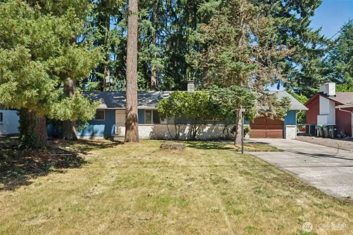 The level front yard offers plenty of room for play, gardening, landscaping projects, or simply enjoying the shade of the mature evergreens that frame the home. You'll also get a better look at the additional side parking area, making it easy to accommodate an RV, boat, trailer, or extra vehicles. The attached 360-square-foot garage is complemented by an extra-long driveway that provides abundant off-street parking for guests and family gatherings. Right in the center of the lawn sits the remnant of a once-massive evergreen, a reminder of the property's established roots and long history. The level front yard offers plenty of room for play, gardening, landscaping projects, or simply enjoying the shade of the mature evergreens that frame the home. You'll also get a better look at the additional side parking area, making it easy to accommodate an RV, boat, trailer, or extra vehicles. The attached 360-square-foot garage is complemented by an extra-long driveway that provides abundant off-street parking for guests and family gatherings. Right in the center of the lawn sits the remnant of a once-massive evergreen, a reminder of the property's established roots and long history.