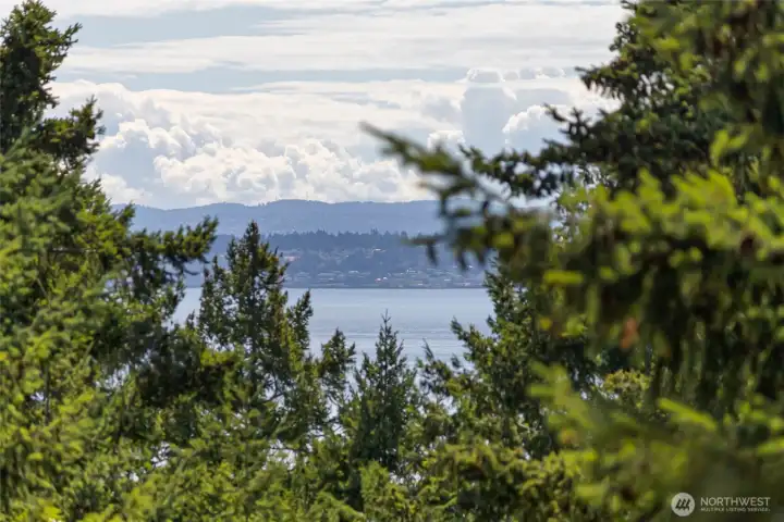 Peek views of Haro Straits, shipping lanes and Victoria, BC taken from upper portion of property.
