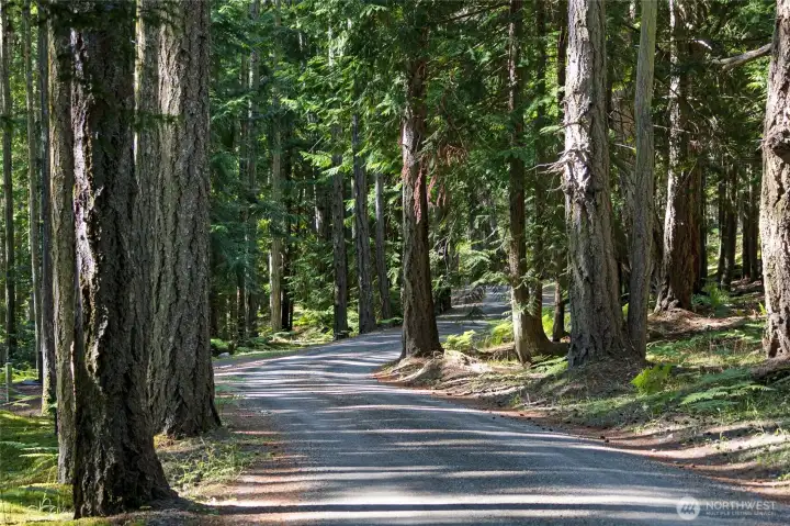Enchanting Carefree Lane...
