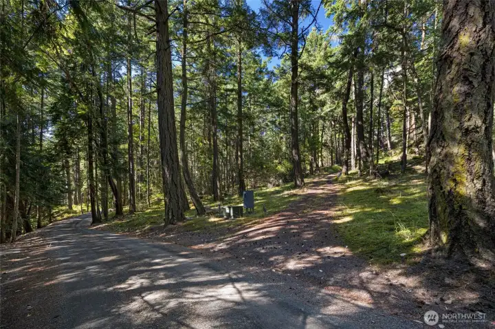 Driveway off Carefree...