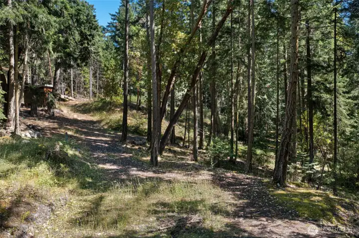 Meandering driveway leads to multiple ready-to-build sites, complete with drilled well, installed 3-bedroom septic system, power and high-speed internet cable.