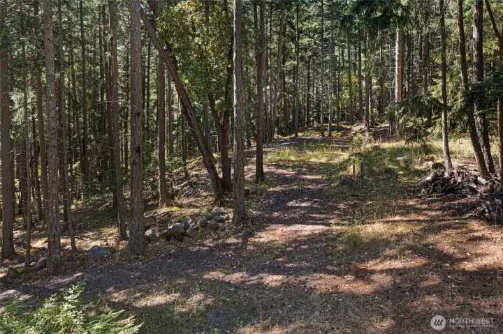 From driveway on lower portion - view of one potential building pad...