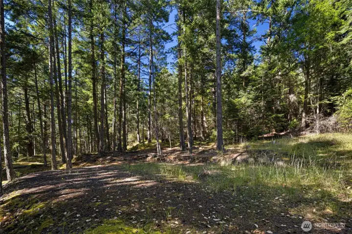 Ready to build...   Imagine your home or detached garage here....