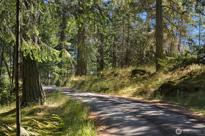 Upper portion of property (on the right) accessible from Lazy Lane....