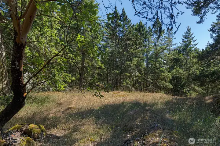 View of upper portion of property and alternate building site -- Peek water views may be possible with some selective trimming...