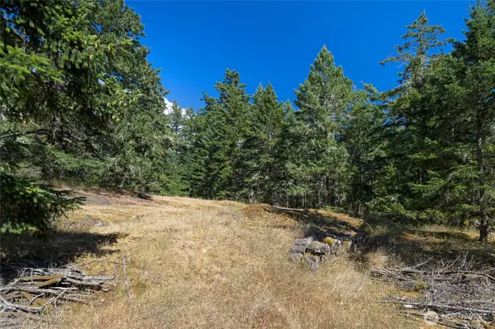 Upper portion and potential alternate building site...