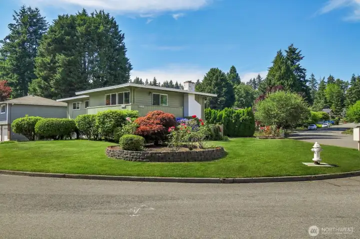 Large corner lot! Large corner lot!