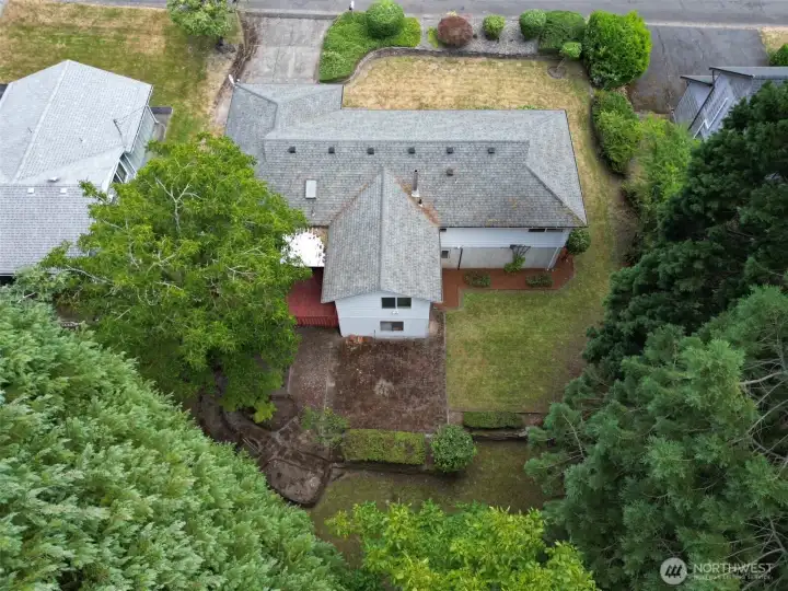 Drone - Backyard Drone - Backyard