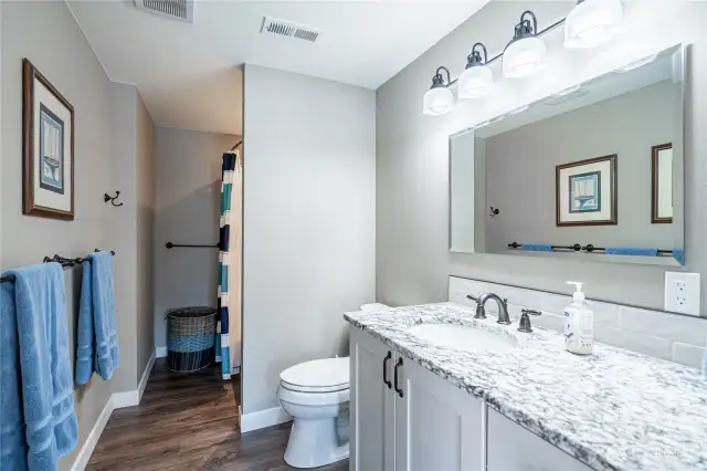 Lower Level Bath