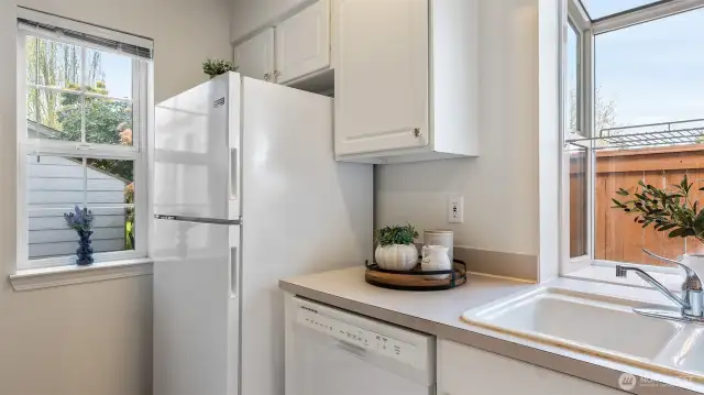 Lots of windows in the kitchen for lots of natural light!