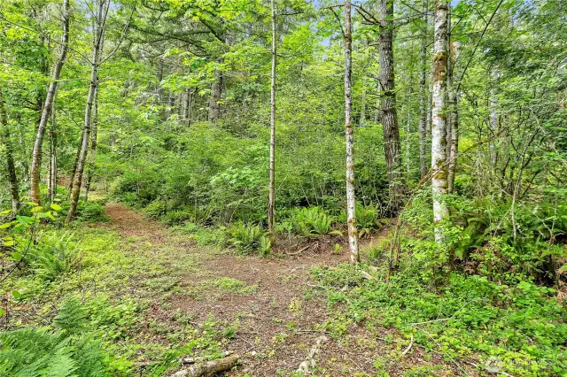 Corner of lot 4