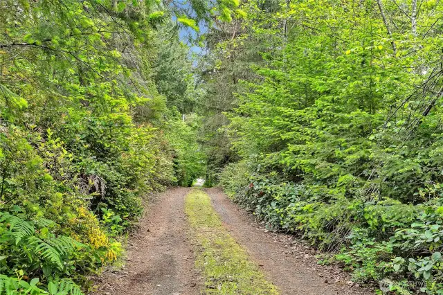 Rear access road