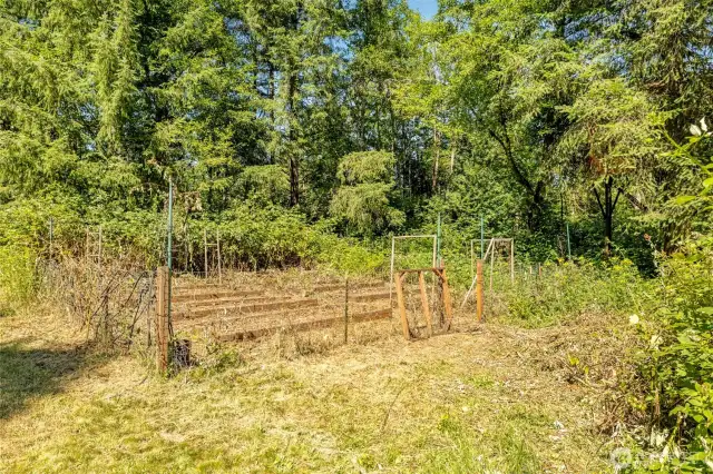 Fenced Garden Area