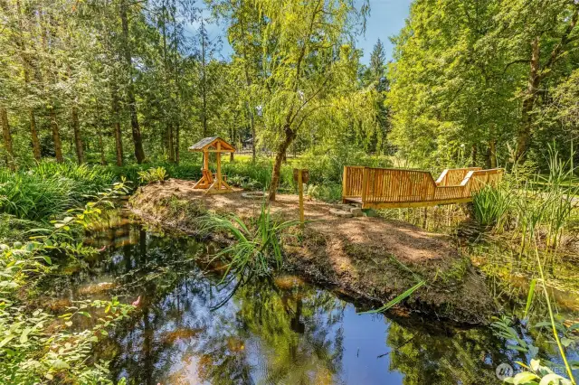 Pond
